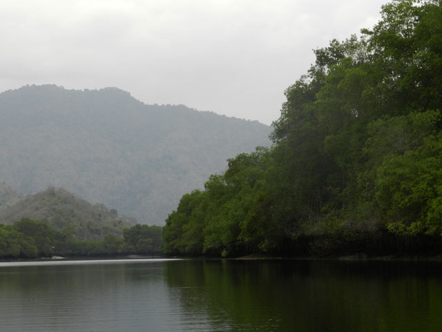view in Churute Mangroves